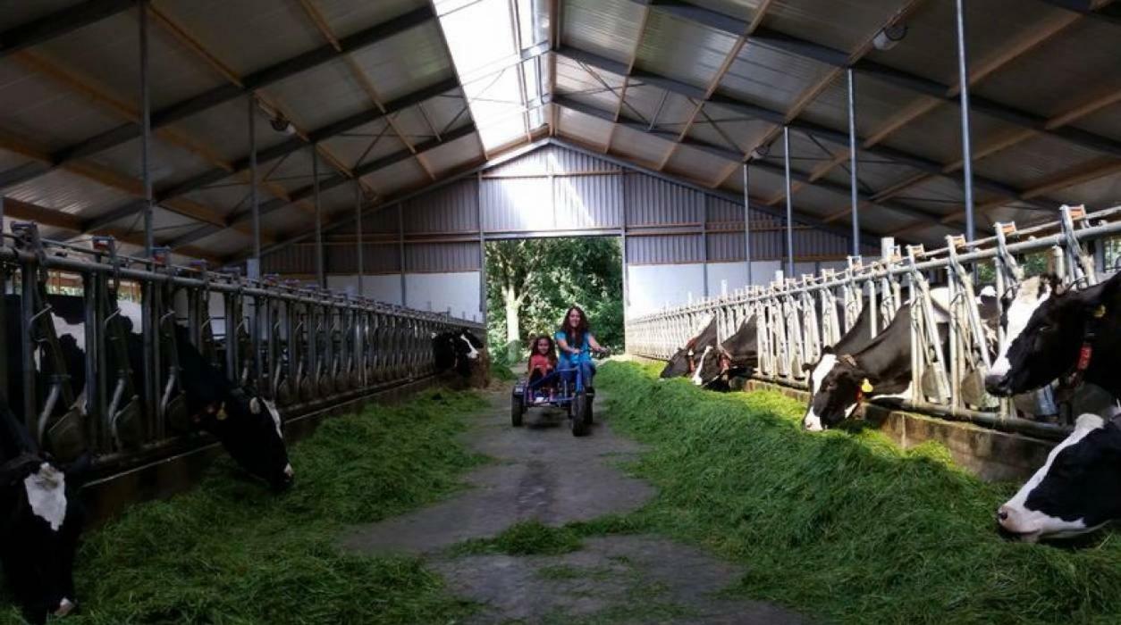 Hoeve De Pippert Ophemert Ngoại thất bức ảnh