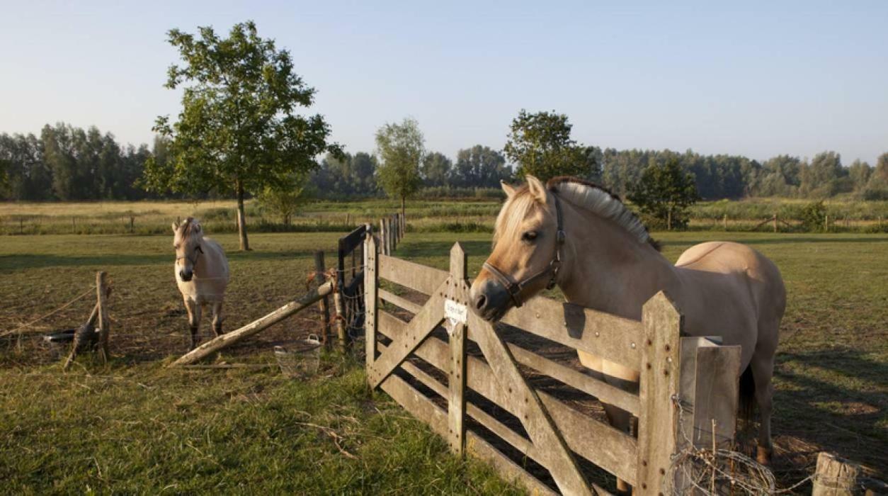 Hoeve De Pippert Ophemert Ngoại thất bức ảnh