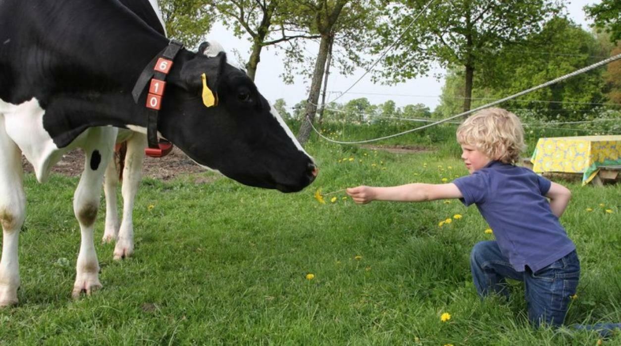 Hoeve De Pippert Ophemert Ngoại thất bức ảnh